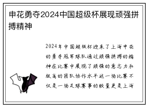 申花勇夺2024中国超级杯展现顽强拼搏精神